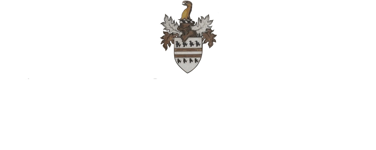 Furlong BAU Limited logo